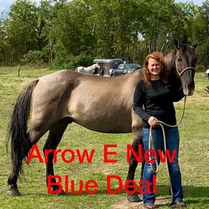 Meet your Posher, Julie